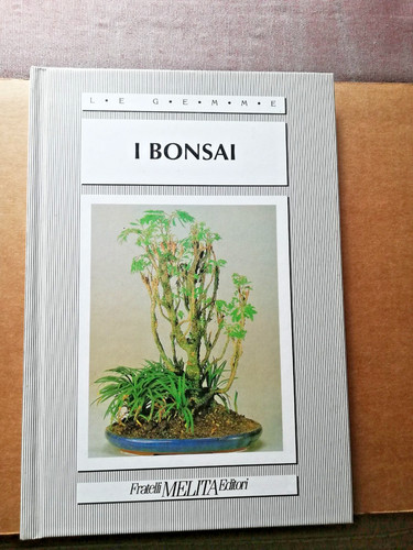 I bonsai fratelli - bonsai,
