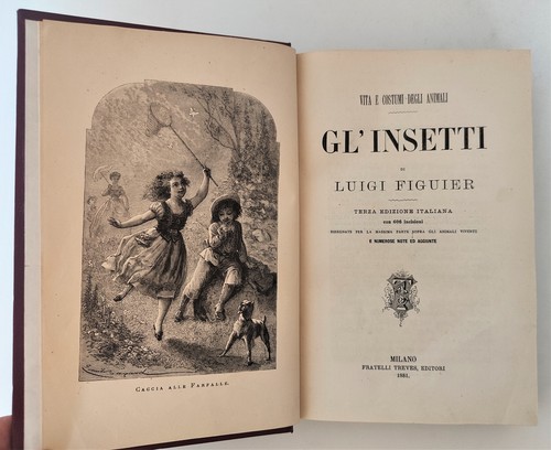 Insetti vita e costumi - gl'insetti,,